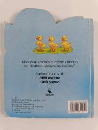 Silitä ankkaa