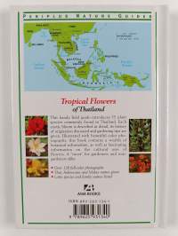 Tropical Flowers of thailand