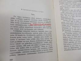 Kaksi kapteenia