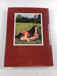 Horses and Foals