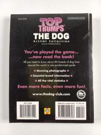 The Dog : Artlist Collection