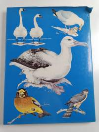 Bird Life - An Introduction to the World of Birds