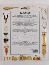 Luusto