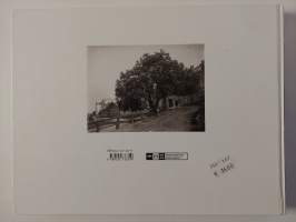 Signe Brander 1869-1942 : Helsingin valokuvaaja = Helsingfors fotograf