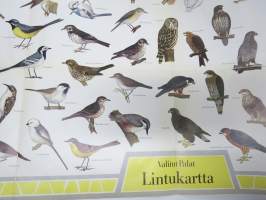 Lintukartta - Valitut Palat 1969 -juliste