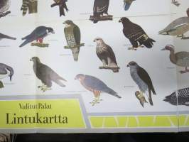 Lintukartta - Valitut Palat 1969 -juliste