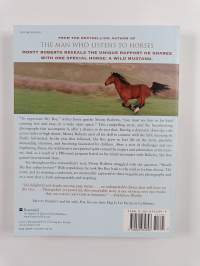 Shy Boy - The Horse That Came in from the Wild