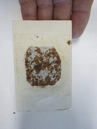 Rusoposki Rose -valokuva, ferrotyyppi / ferrotype