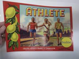 Athlete - Sunkist -etiketti / hedelmä- / vihanneslaatikon päätypainate