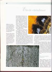 Suomen luonto - Perhoset.  (Lepidopterologia). 1998, 3.p.