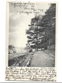 Terijoki - paikkakuntakortti, paikkakuntapostikortti   postikorttikulkenut 1908   loistoleima