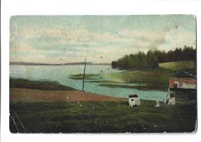 Tyhjä kuva
