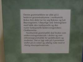 Nordsamisk grammatikk