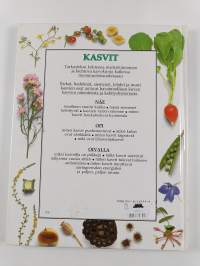 Kasvit