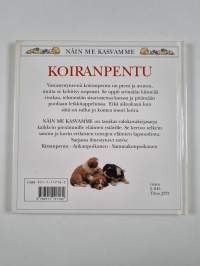 Koiranpentu