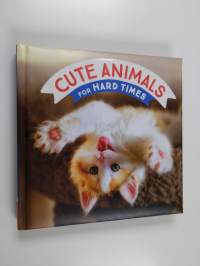 Cute Animals for Hard Times