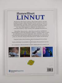 Ihmeelliset linnut