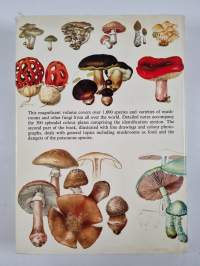 Mushrooms and other fungi