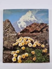 Das goldene Buch der Alpenblumen