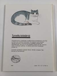 Navettakissat