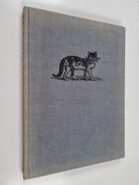 Cats, cats, cats, cats