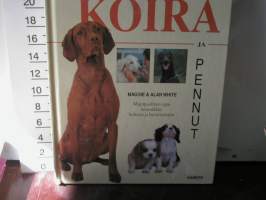 Koira ja pennut, monipuolinen opas lemmikkisi hoitoon ja hyvinvointiin