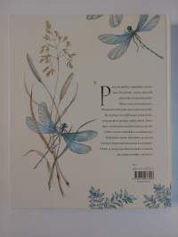 Pessi ja Illusia