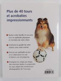 Jouer avec son chien