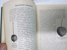Hedelmän - ja marjanviljelys avomaalla