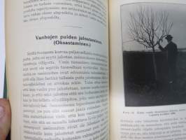 Hedelmän - ja marjanviljelys avomaalla