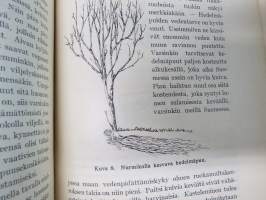 Hedelmän - ja marjanviljelys avomaalla