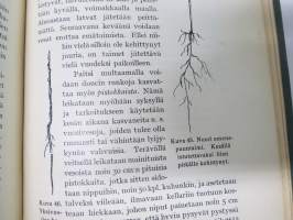 Hedelmän - ja marjanviljelys avomaalla