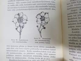 Hedelmän - ja marjanviljelys avomaalla