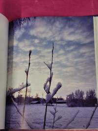 Unta näkemättä