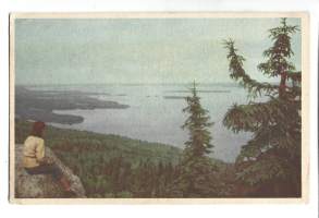 Koli postikortti, paikkakuntapostikortti kulkenut  Kenttäpostia