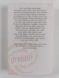 Drehtür : Roman