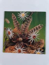 Shell Flowers