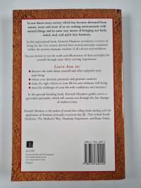 Where Eagles Fly : A Shamanic Way to Personal Fulfilment
