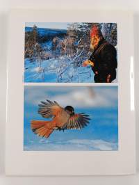 Quand l'hiver s'empare de la taga finlandaise
