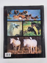 Such is the real nature of horses
