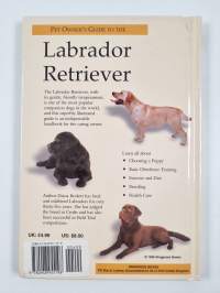 Labrador Retriever