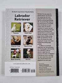 Labrador Retriever