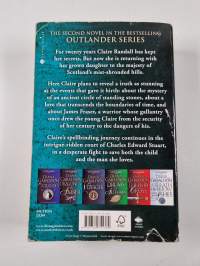 Dragonfly in amber