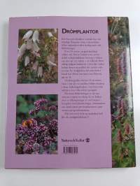 Drömplantor - Den nya generationen perenner