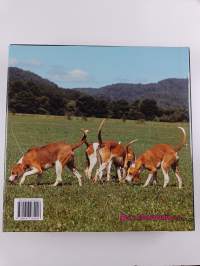 Dogs - Hunde, Chiens, Cani, Perros, Honden