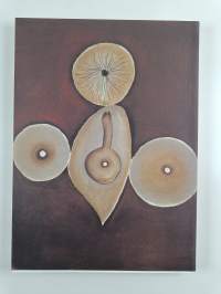 Francesco Clemente - Helsingin juhlaviikot 20.8.-1.10.1995