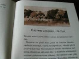 Siinä maassa kultainen kilpikonna tanssii kuutamossa
