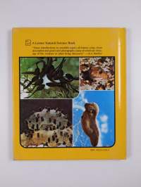 Frogs &amp; Toads