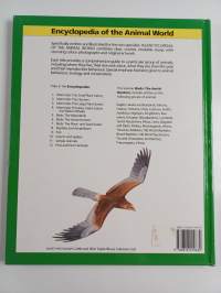 Birds - The Aerial Hunters
