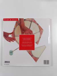 Stained glass : get started in a new craft with easy-to-follow projects for beginners